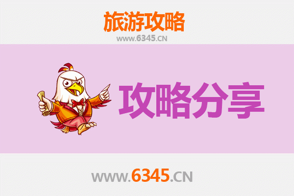 韶关南雄至湄洲岛旅游攻略：跟团还是自由行选择指南