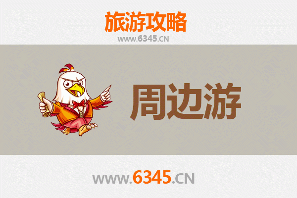 韶关南雄深度游攻略：银杏之乡、红色足迹与岭南古韵的完美融合